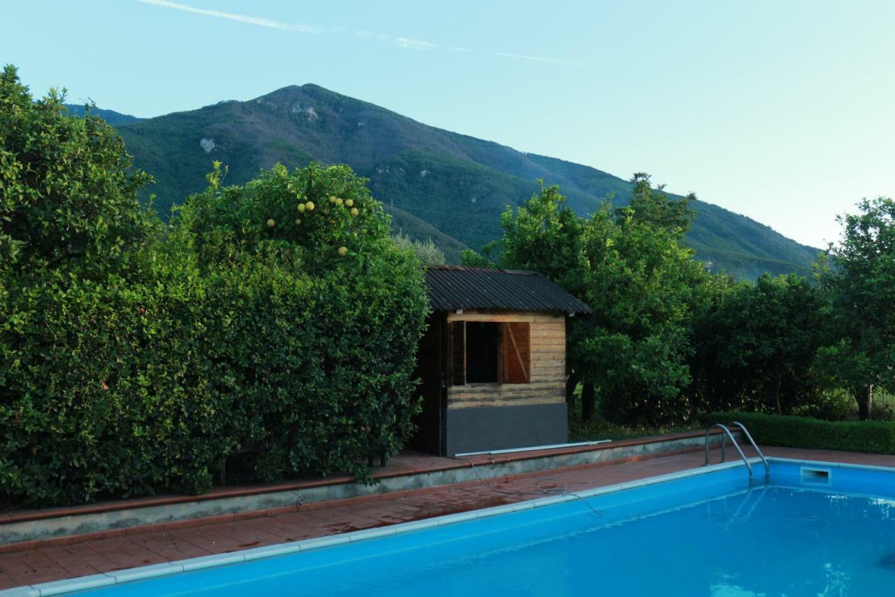 Desiderio D'Ammore Villa Corbara  Buitenkant foto