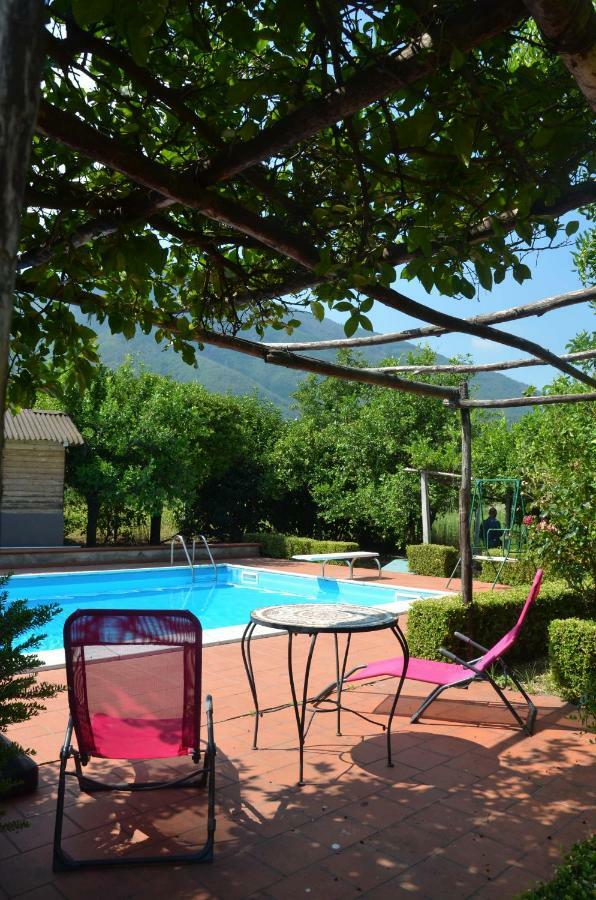 Desiderio D'Ammore Villa Corbara  Buitenkant foto