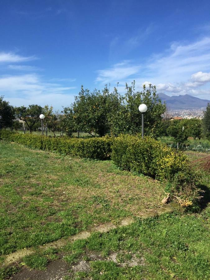 Desiderio D'Ammore Villa Corbara  Buitenkant foto