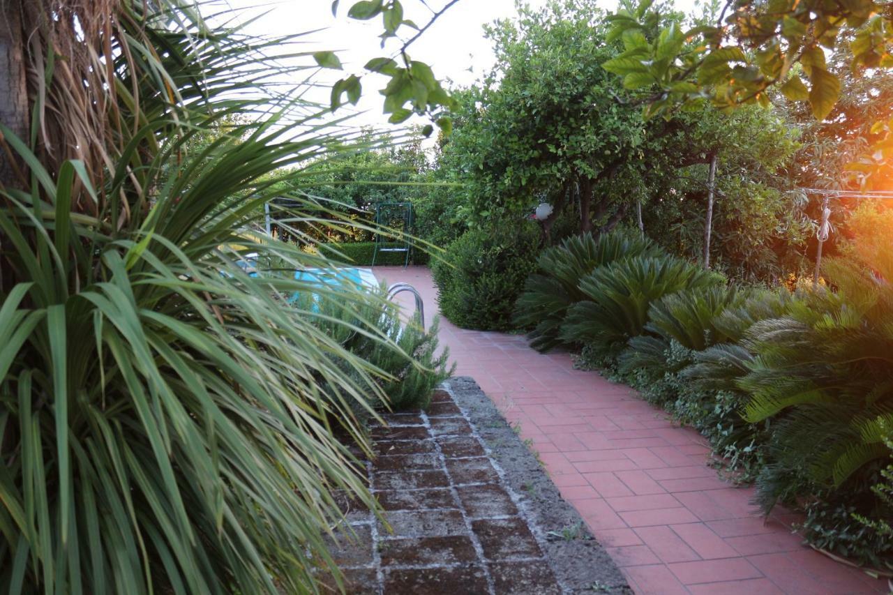 Desiderio D'Ammore Villa Corbara  Buitenkant foto